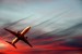 [obrazky.4ever.sk] boeing 737 154858